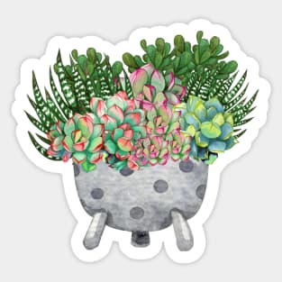 Succulent Plants In a Cute Pot Sticker